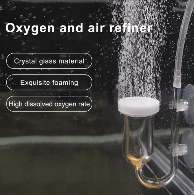 Glass Oxygen Refiner Aquarium - Image 2