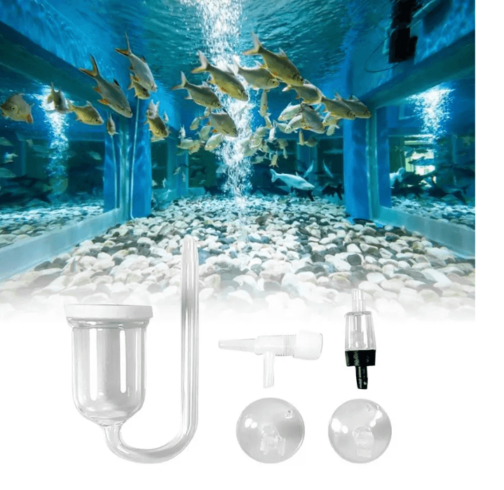 Glass Oxygen Refiner Aquarium - Image 4