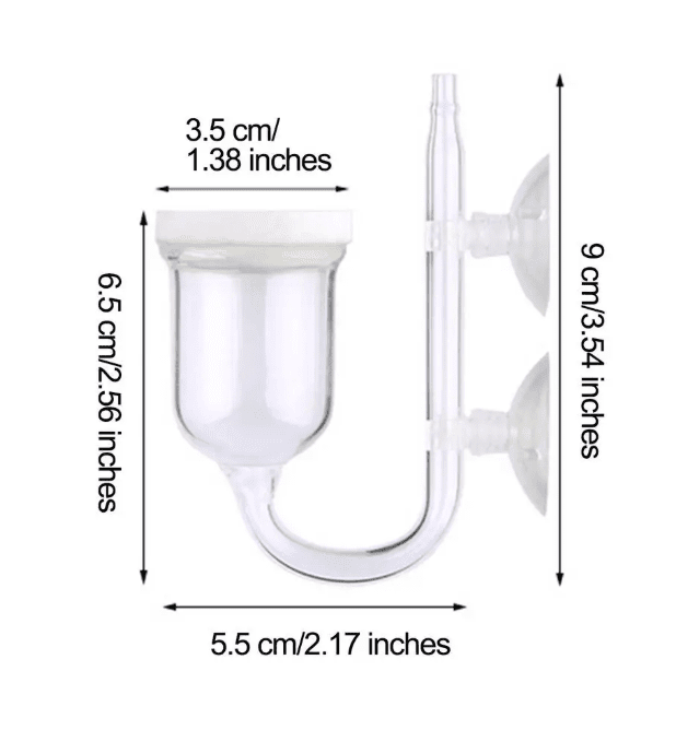 Glass Oxygen Refiner Aquarium - Image 6