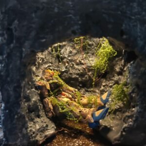 Gundam model with chipped paint and battle scars