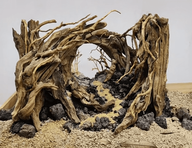 Aquarium Wood Scenery - Image 7