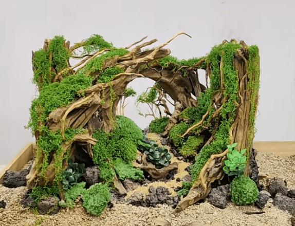Aquarium Wood Scenery - Image 6