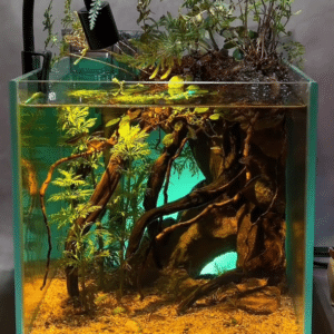 South American-style aquariums