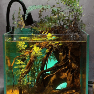 South American-style aquariums
