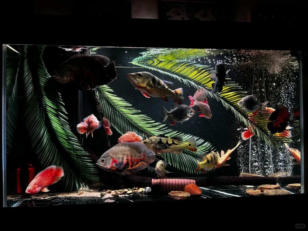 best filter for oscar fish best filter for oscar fish