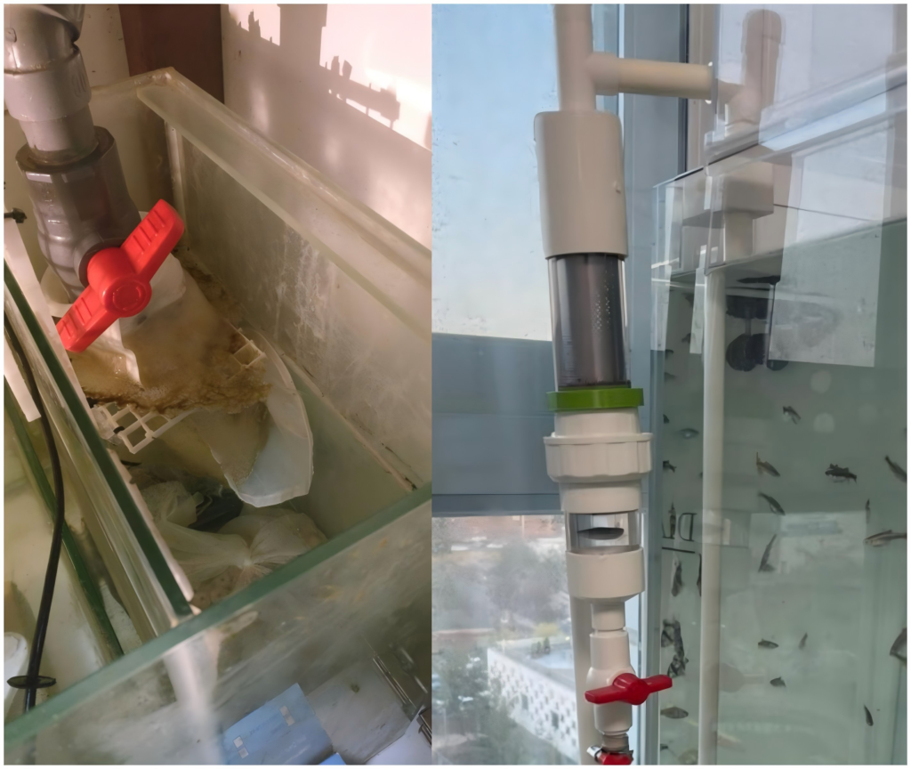aquarium-sump-pre-filter aquarium-sump-pre-filter