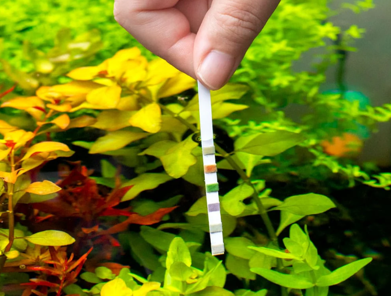 Test Strips